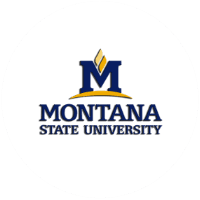Montana State University